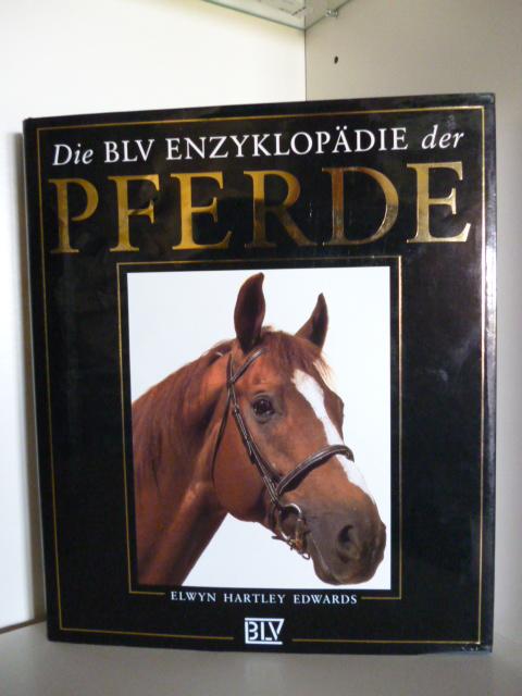 Saddlery by Elwyn Hartley Edwards Saddlery by Elwyn Hartley Edwards