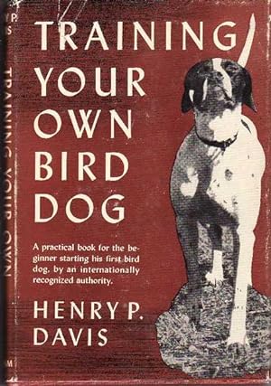 Training You Own Bird Dog