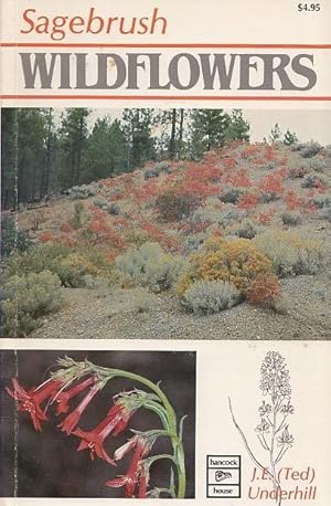 Sagebrush Wildflowers