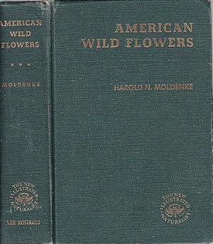 American Wild Flowers The New Illustrated Naturalist
