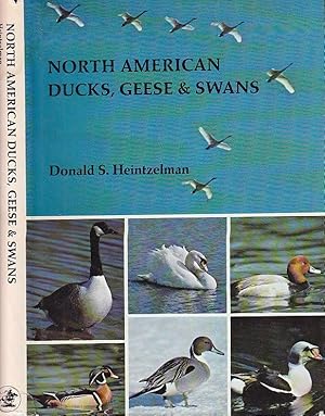 North American Ducks, Geese and Swans