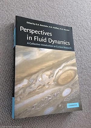 Perspectives in fluid dynamics