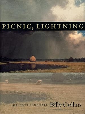 Picnic, Lightning