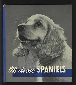Oh diese Spaniels. Portrait einer Hunderasse in 34 Fotos. Eingeleitet von Barbara Noack mit prakt...