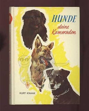 Hunde, deine Kameraden