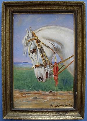 Portrait eines Schimmels [Araber o. Lipizzaner]