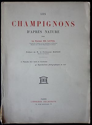 Les champignons d'après nature