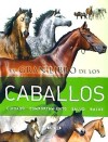 Gran Libro Ilustrado de Los Caballos (Spanish Edition)