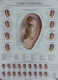 Auriculoterapia