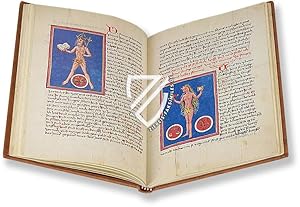 Codex Sch rstab - Signatur: Ms. C 54 - Zentralbibliothek (Z rich, Switzerland)
