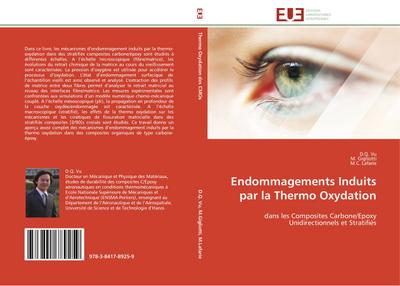 Endommagements Induits par la Thermo Oxydation : dans les Composites Carbone/Epoxy Unidirectionnels et Stratifiés - D. Q. Vu