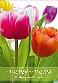 Tulpen - Tulipa (Posterbuch DIN A3 hoch) - Gerd Evermann Photography