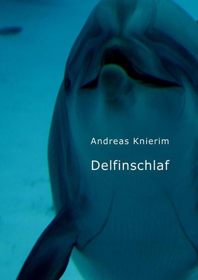 Delfinschlaf : Botschaften von Mia Schütz aus der Zwischenwelt der persönlichen Karriere - Andreas Knierim