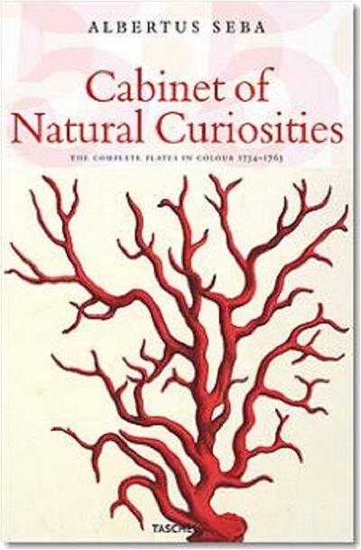 Das Naturalienkabinett Cabinet Of Natural Curiosities Le Cabinet
