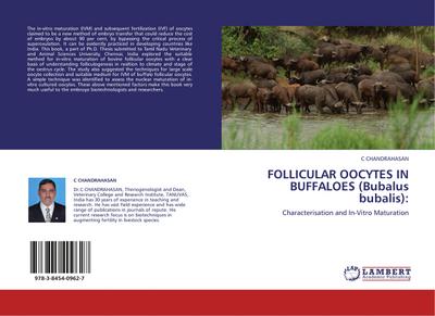 FOLLICULAR OOCYTES IN BUFFALOES (Bubalus bubalis): : Characterisation and In-Vitro Maturation - C CHANDRAHASAN