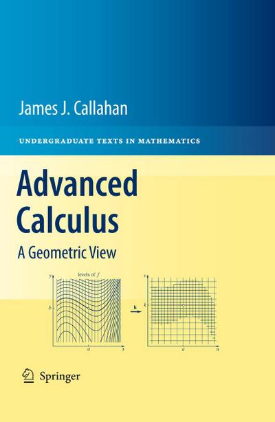 Advanced Calculus : A Geometric View - James Callahan
