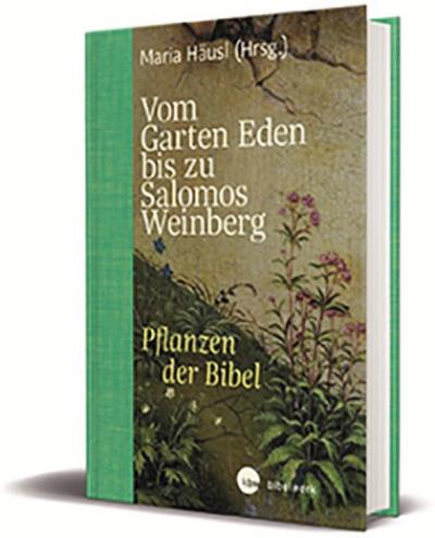 Vom Garten Eden Bis Zu Salomos Weinberg Pflanzen Der Bibel Von