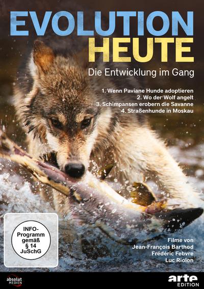 Evolution heute: Die Entwicklung im Gang arte Edition - Frédéric Febvre