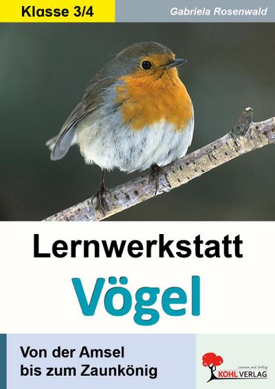 Lernwerkstatt Vögel Von der Amsel bis zum Zaunkönig : Ein Leben aus der Vogelperspektive - Gabriela Rosenwald