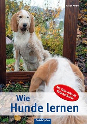 Hunde Ausbildung Zvab - 