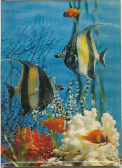 Fische in der Ozeandatierung