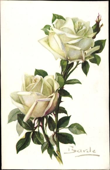 rose blanche Manuscripts & Paper Violette & Rose de Mai, un accord