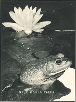 TALE OF THE BULLFROG