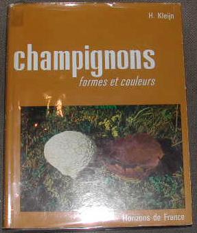 Champignons, formes et couleurs.