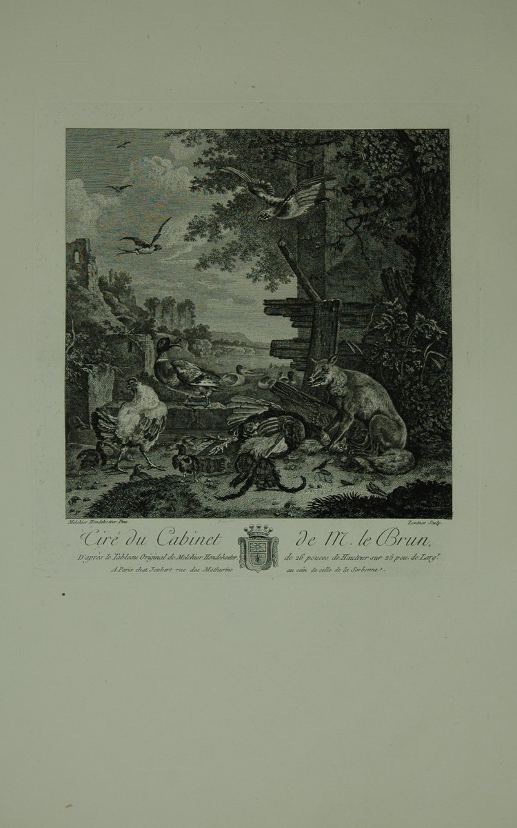 hondecoeter - ZVAB hondecoeter - ZVAB