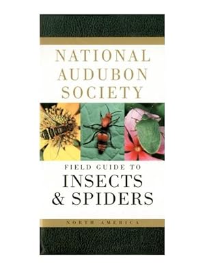 National Audubon Society Field Guide to INSECTS & SPIDERS of North America by National Audubon So...