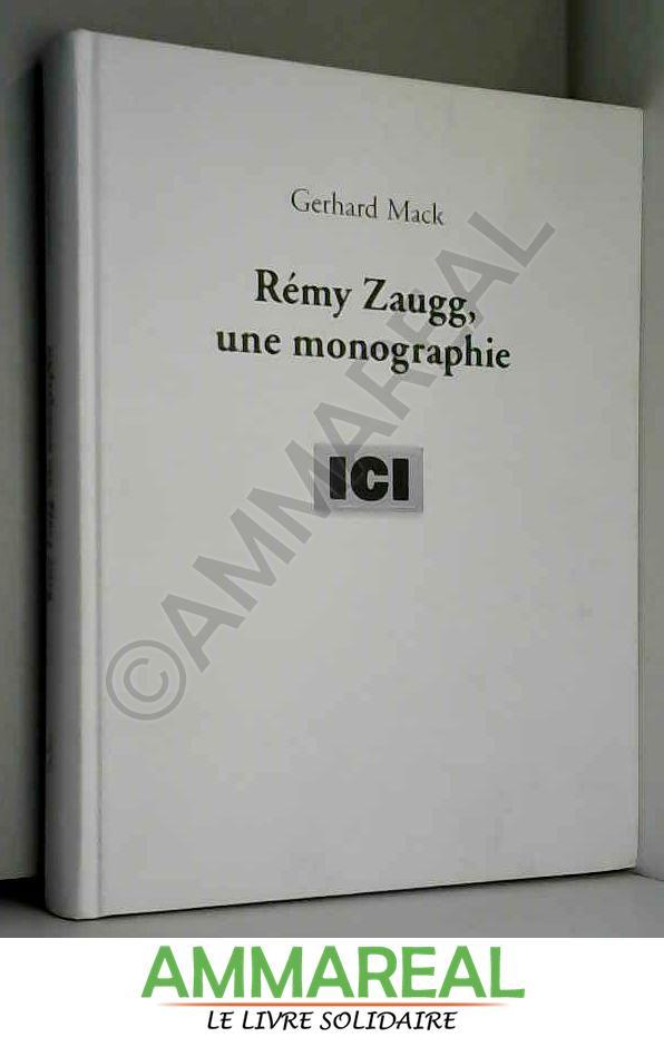 Remy zaugg, a monograph - Schmidt/Mack