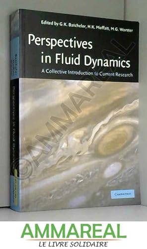 Perspectives in fluid dynamics