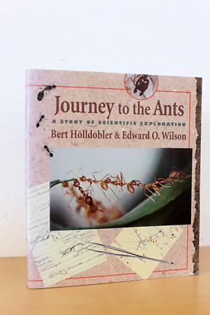 Journey To The Ants Von Bert Holldobler Zvab