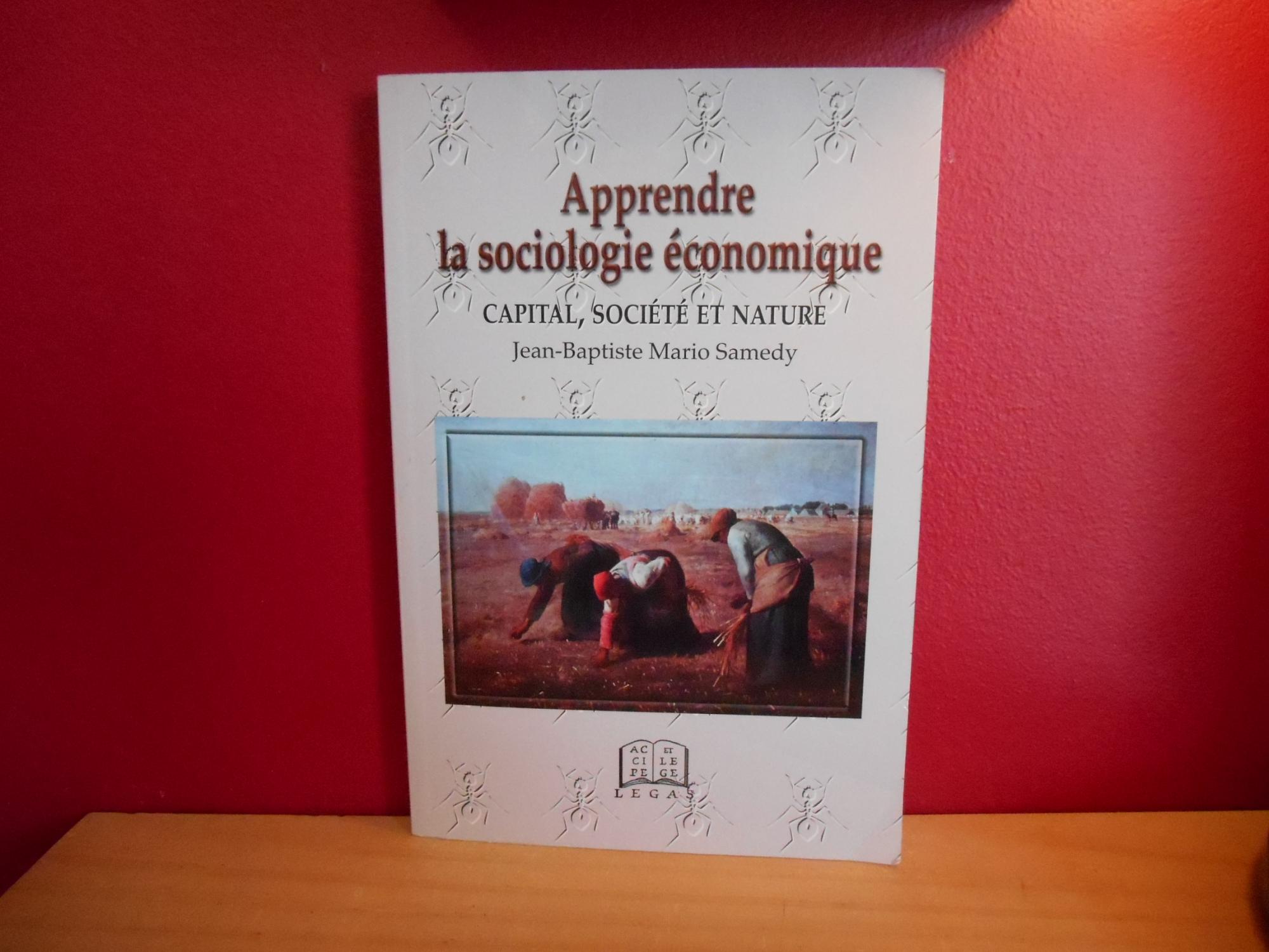 Apprendre La Sociologie Economique. Capi Jean Baptiste Mar Samedy Author