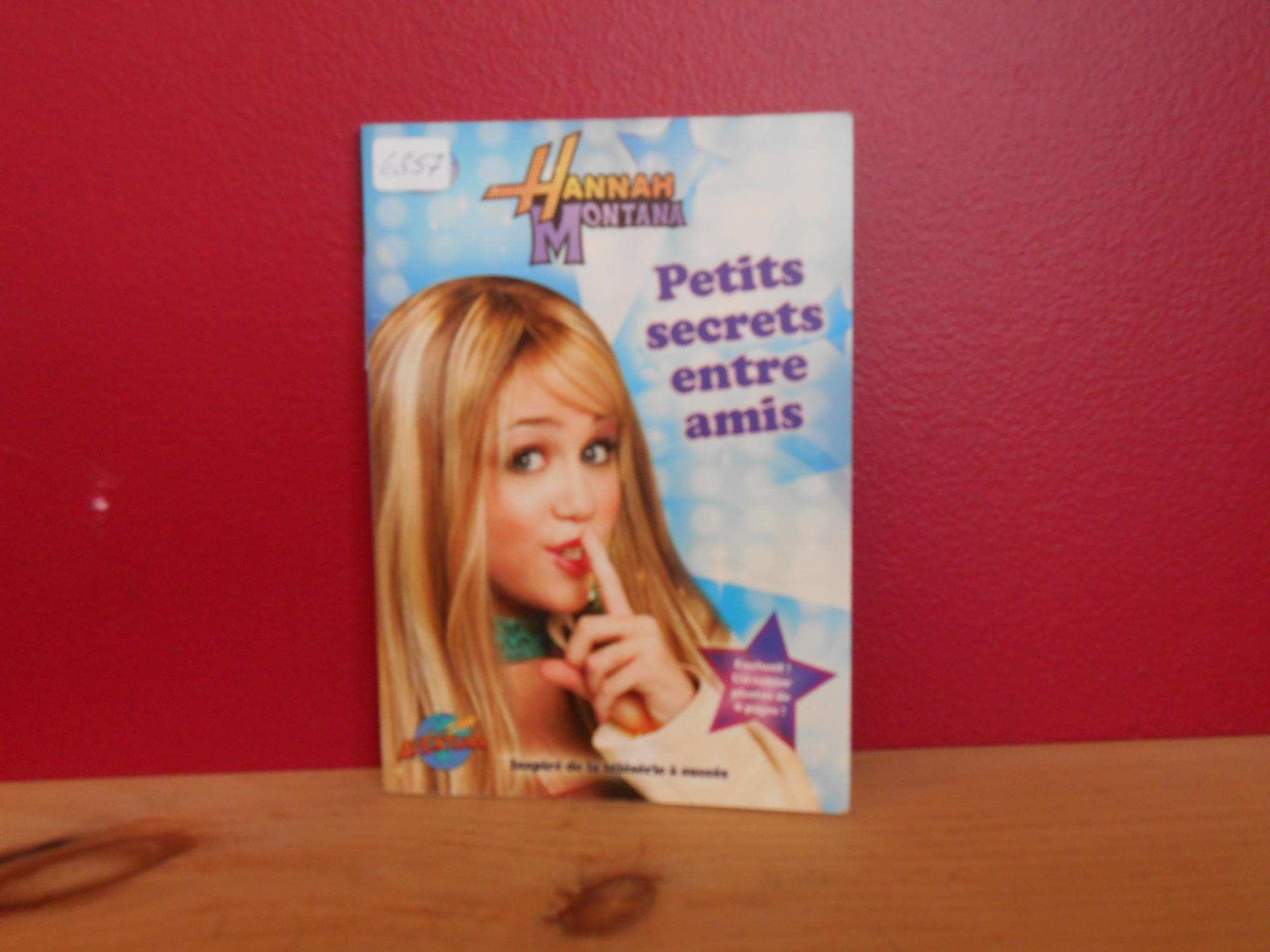 Hannah Montana : Petits Secrets Entre Amis - Laurie McElroy