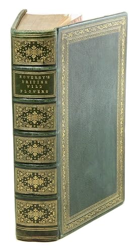 British Wild Flowers By Sowerby Abebooks