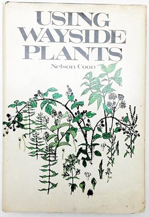 Using Wayside Plants