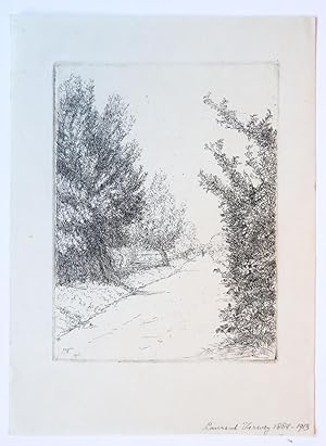 View on path among trees (pad tussen bomen).