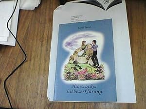 Hunsrücker Liebeserklärung : Gedichte und Geschichten in Hochdeutsch und Mundart.