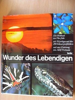 Wunder des Lebendigen