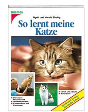 So lernt meine Katze