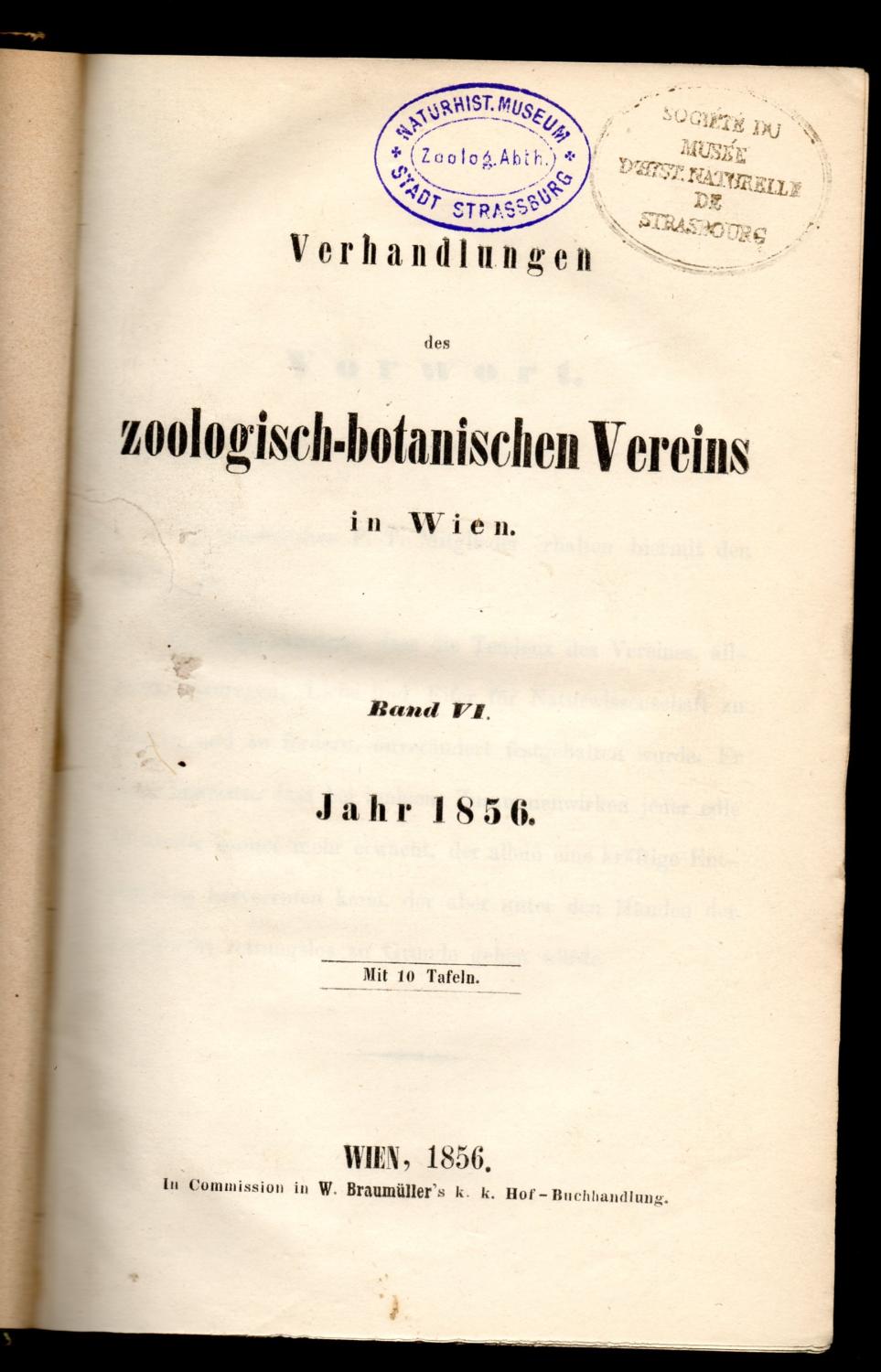 buy behandlungspfade in gynäkologie und geburtshilfe