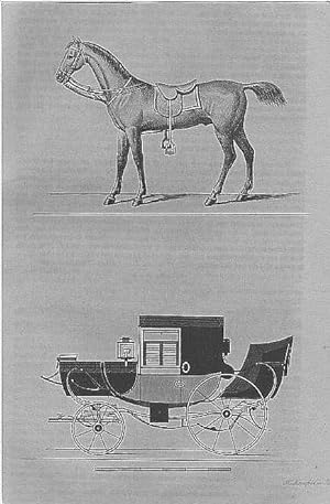 Kutsche und Pferd, Stahlstich, um 1834, 17x11 cm Bildformat