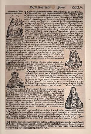 Weltchronik: Lebensbeschreibung und Brustbild des Nikolaus Toletanus, des Vaters der Augustinermö...