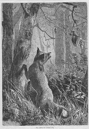 Fuchs, der Fuchs am Dohnensteig, Holzstich, um 1868, 27x19 cm Bildformat