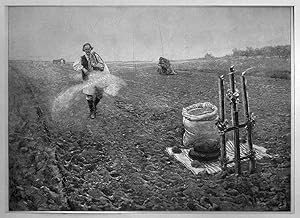 Bauer: Bauer beim Säen, Holzstich, um 1900, 23x32 cm Bildformat