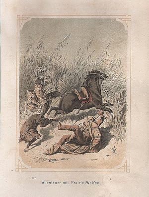 Wolf: Abenteuer mit Prairie-Wölfen, Farblithographie, um 1871, 15x10 cm Bildformat