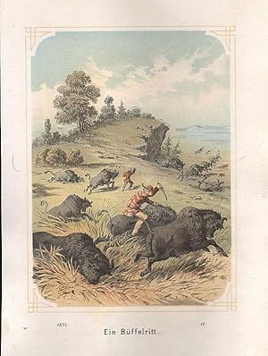 Büffel: Büffelritt, Farblithographie, um 1871, 15x10 cm Bildformat