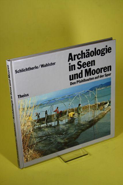 Archäologie in Seen und Mooren. Den Pfahlbauten auf der Spur