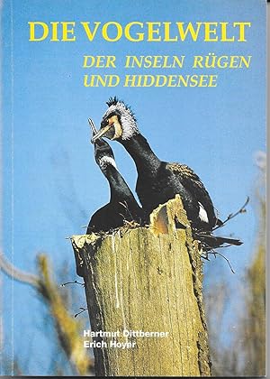 Die Vogelwelt der Inseln Rügen und Hiddensee (Teil 1)